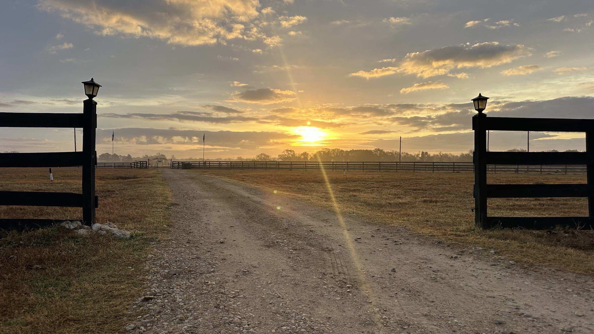 Sunset down the entrance drive at Angry Dog Farms in Hempstead, Texas