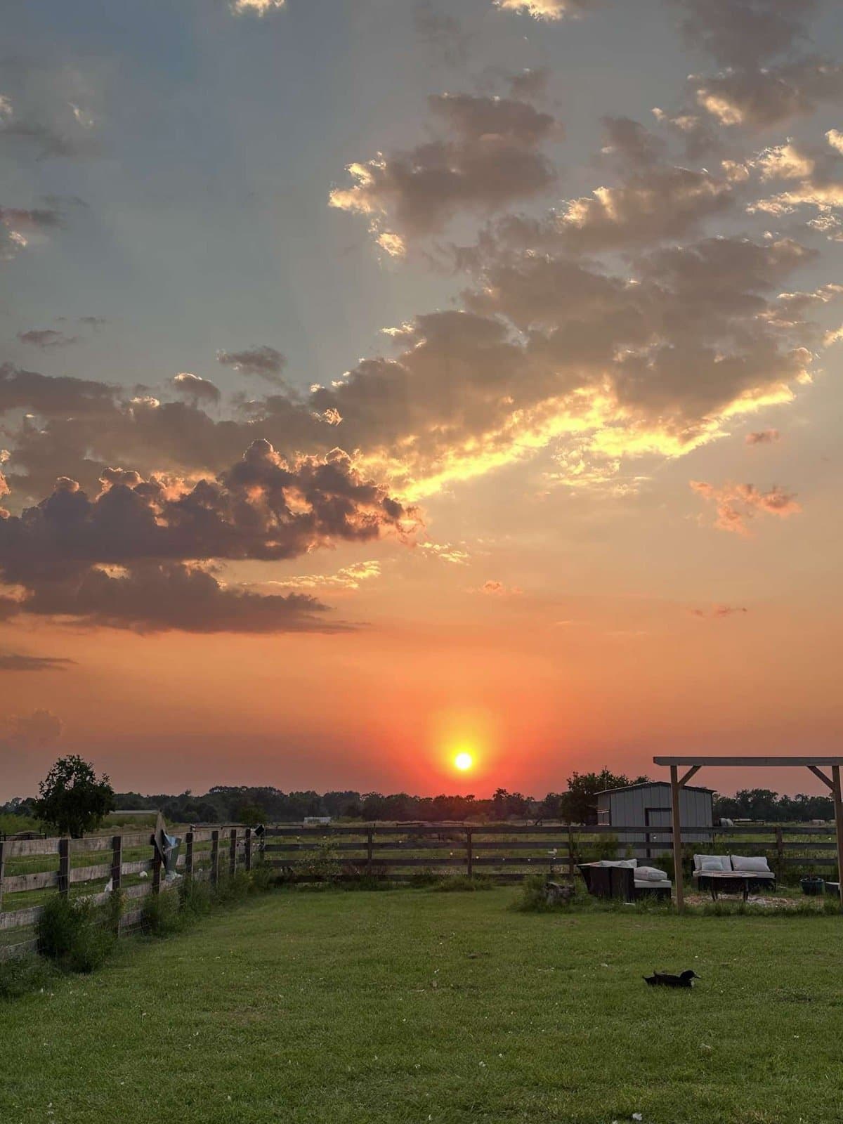 Golden hour over the fence line