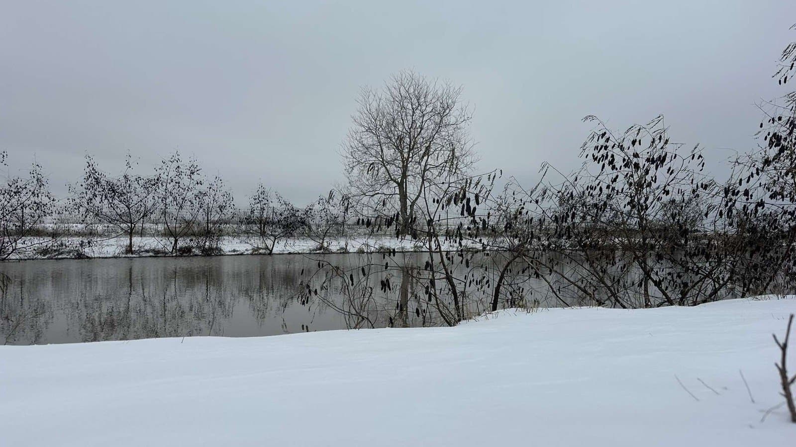 A pond reflecting bare trees across the back field