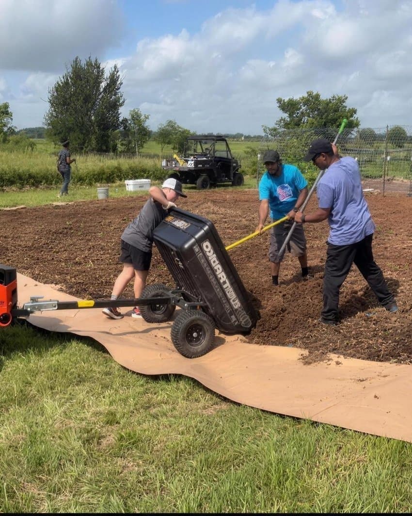 Neighbors and volunteers working together on a farm workday, dumping a cart of compost and raking it into a fresh garden bed