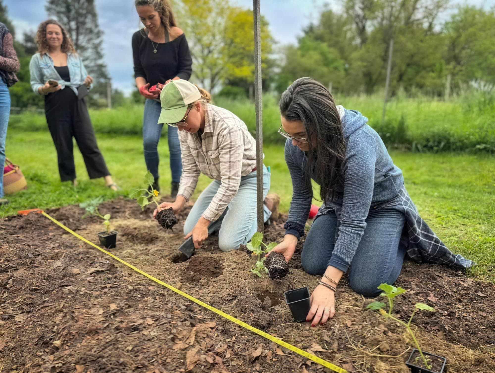Two people kneeling in a garden bed setting vegetable seedlings into the soil while others look on.