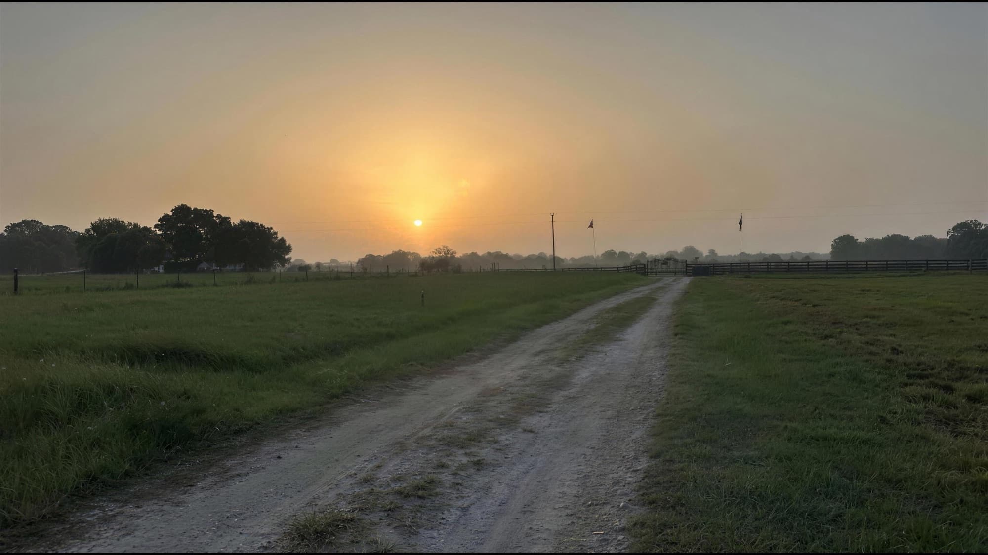 Sunrise over the dirt road leading into the farm