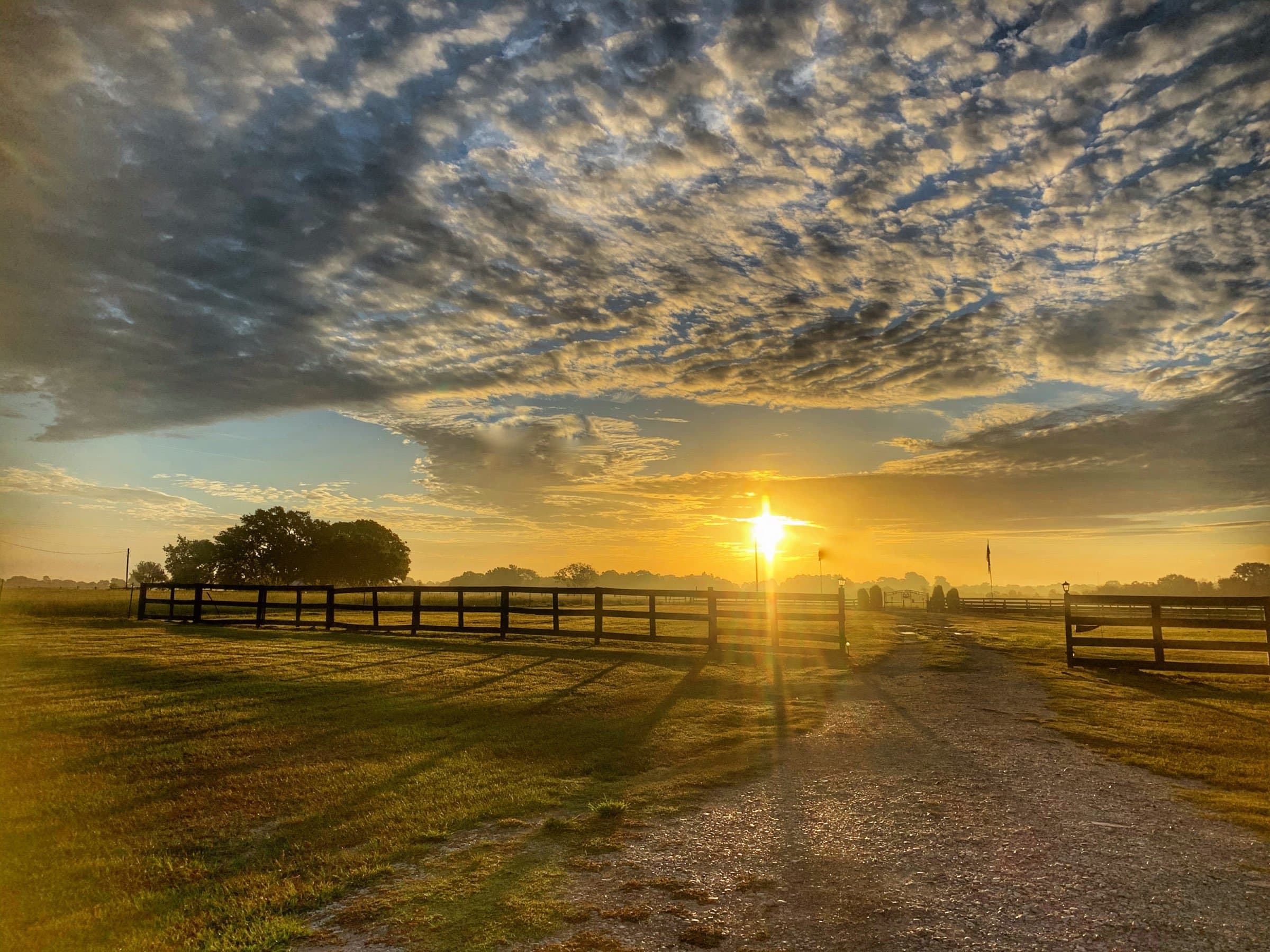 Sunrise over the farm with chickens in the pasture