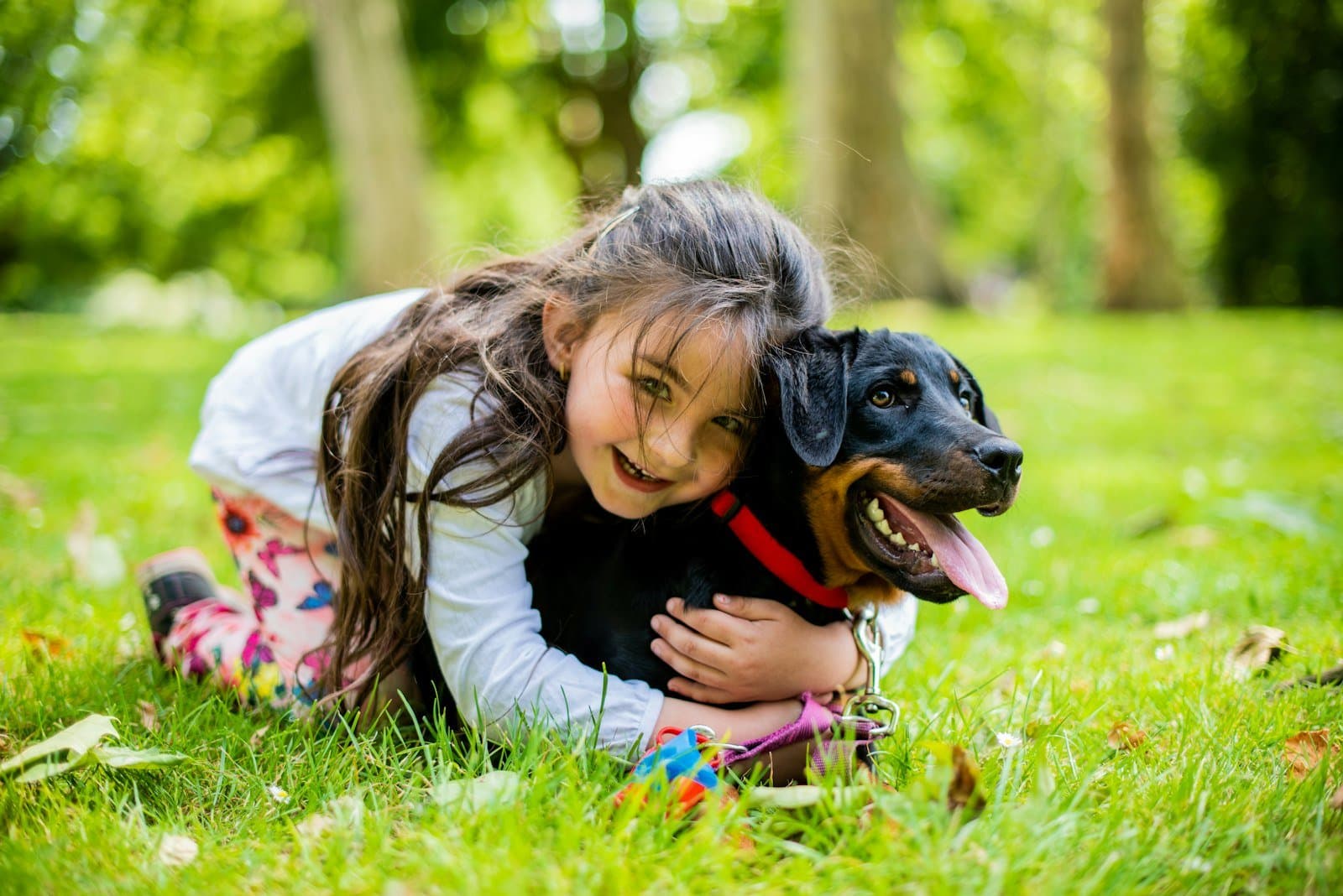 A child playing with a friendly farm dog on the grass