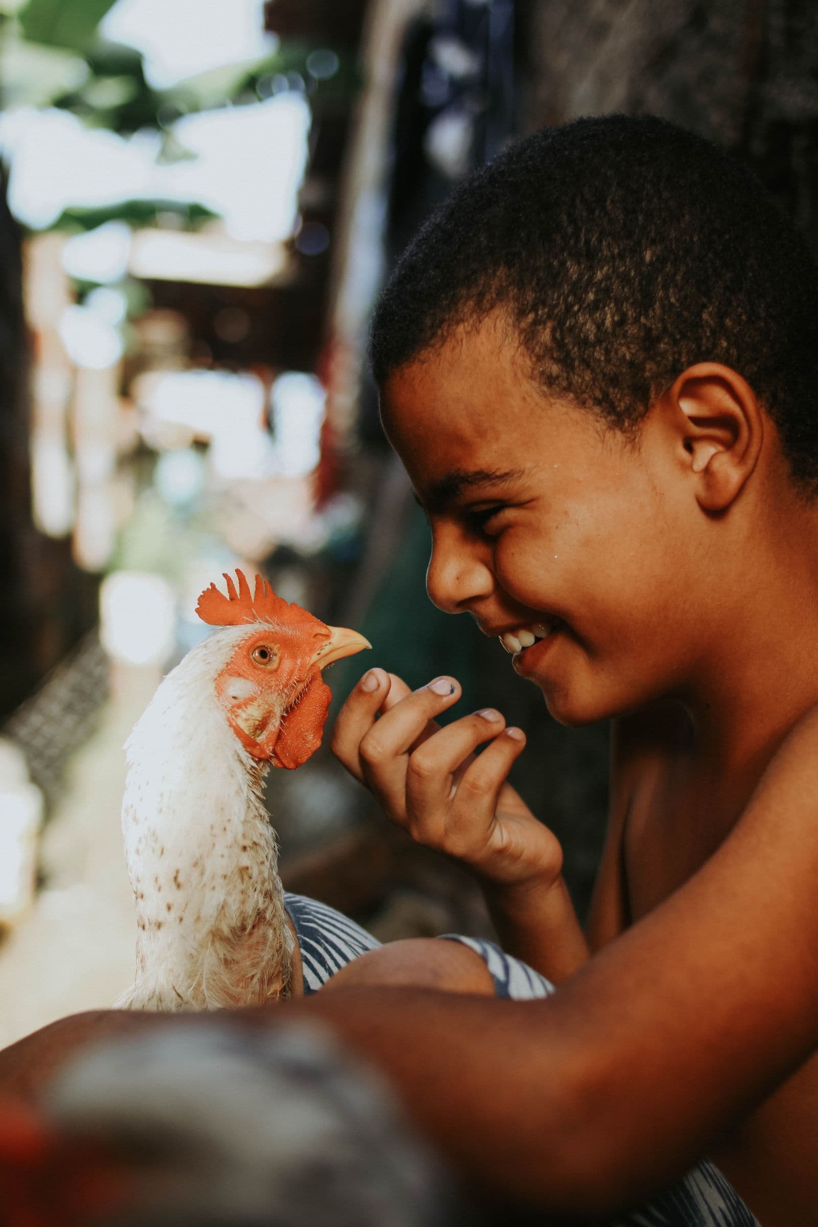 A child holding a hen at the farm