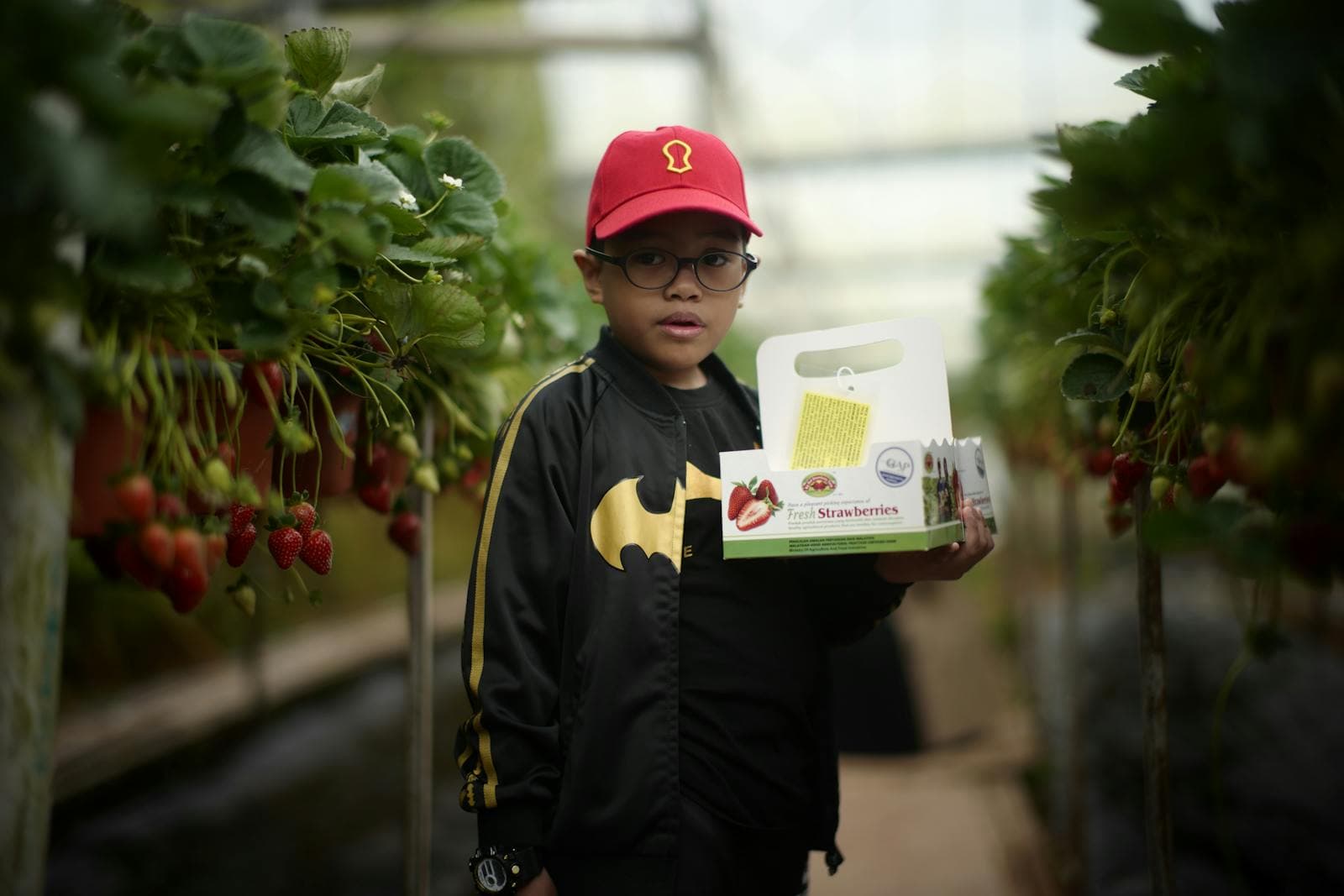 A child holding a box of just-picked produce