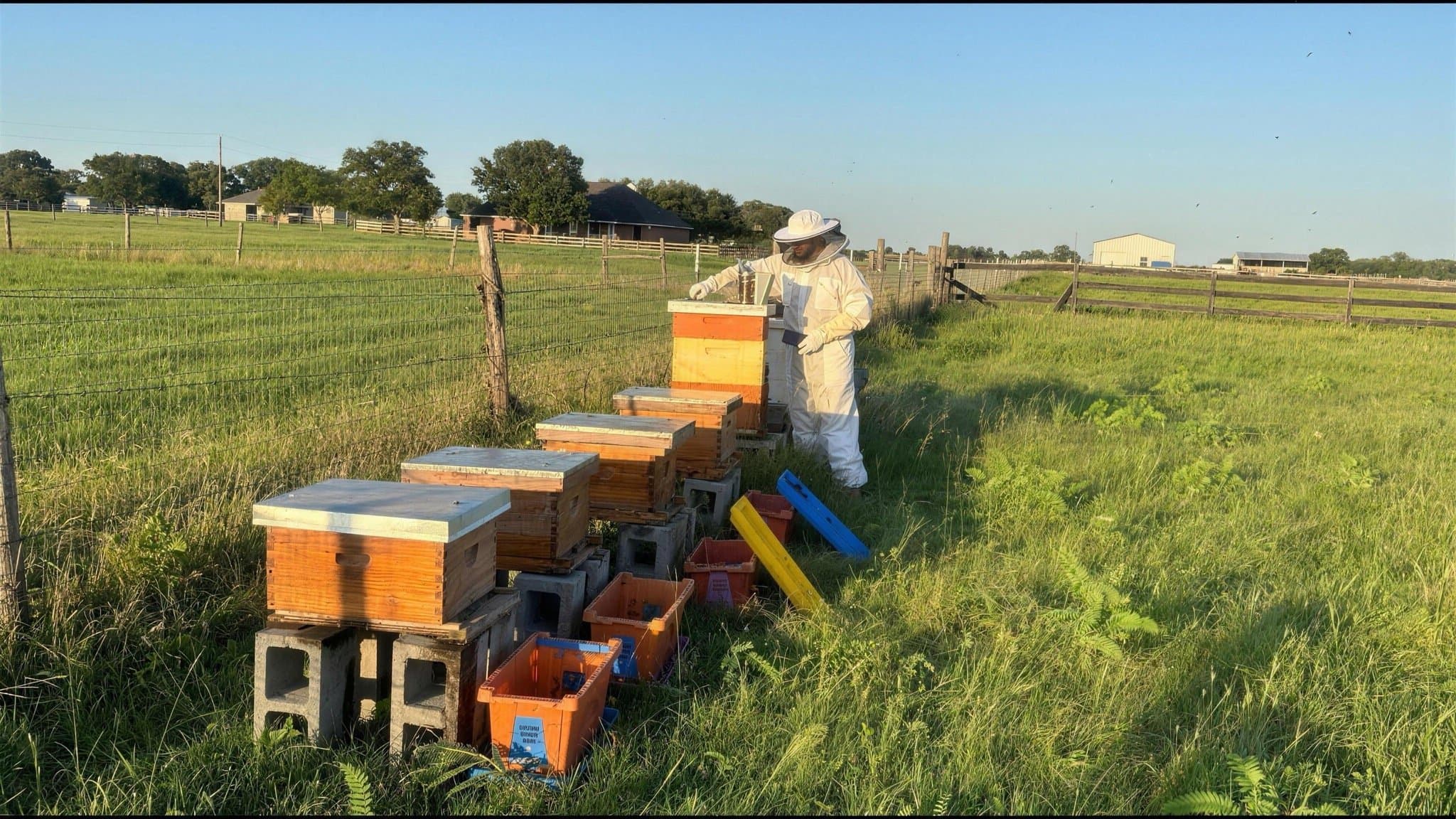 A beekeeper in a full veil tending the hives out in the pasture