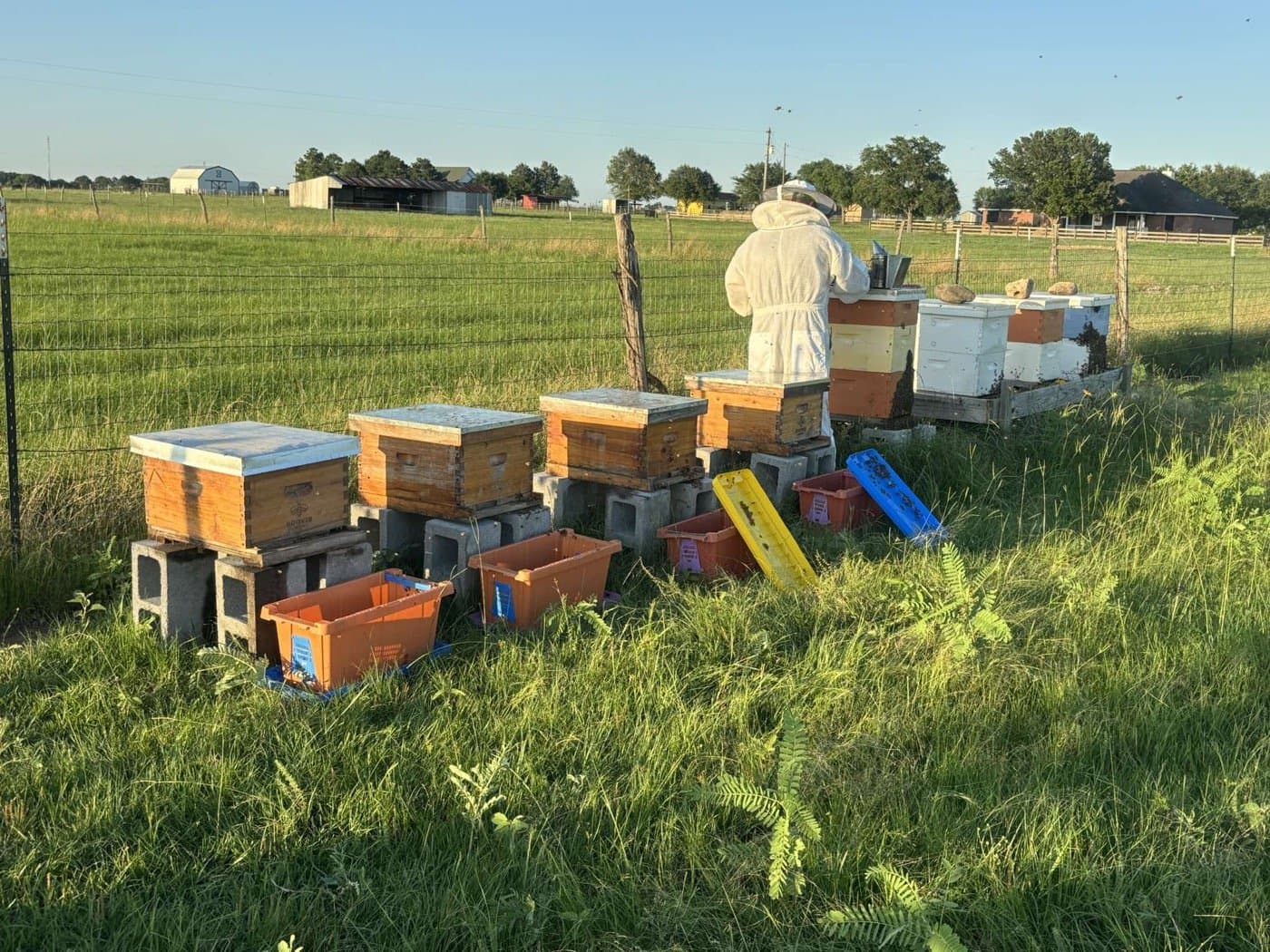 Working the beehives up close, a hands-on farm craft