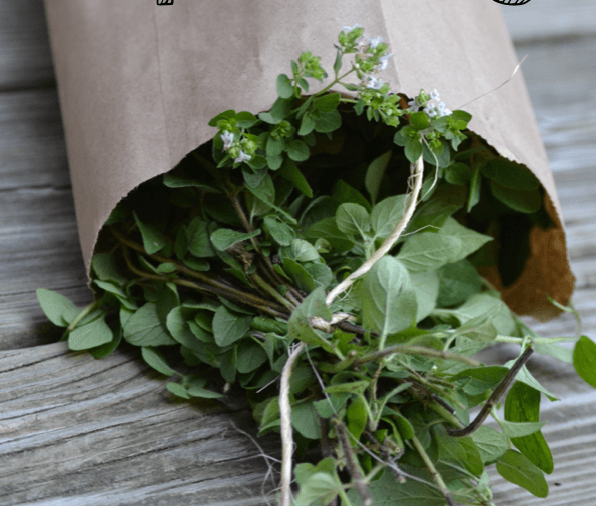 Fresh Herb Bundle